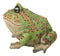 Amphibian Wildlife Realistic Green Bullfrog Frog In Stoic Posture Figurine 7"L