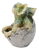 Adorable Green Baby Dragon Hatchling Cracking Out of Egg Shell Figurine 4"H