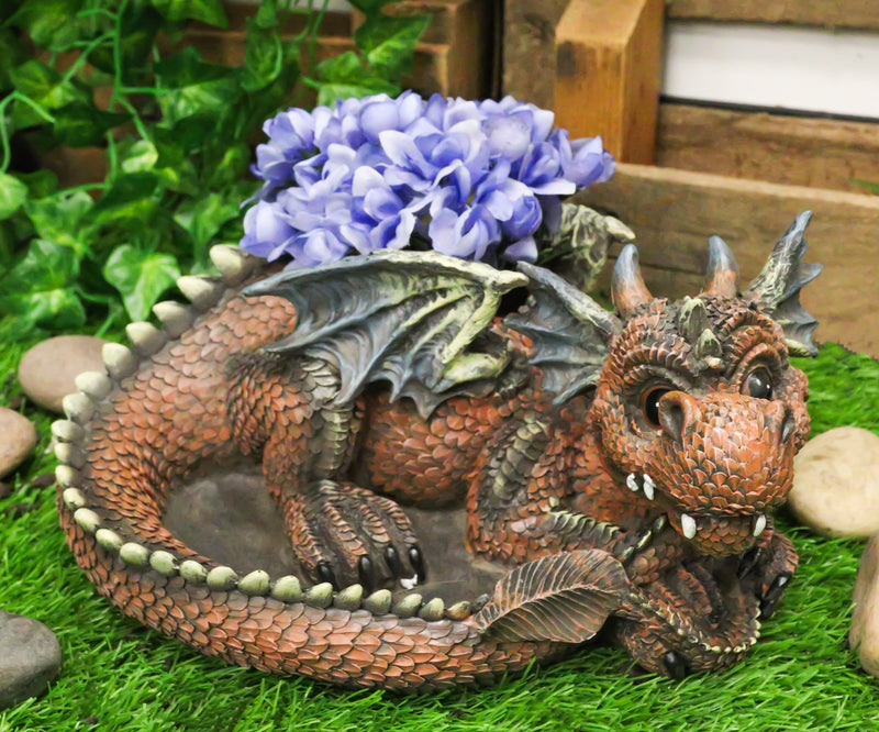 Snuggling Cozy Red Fire Dragon At Rest Planter Pot Garden Decor Figurine 11.25"L