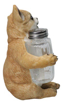Cute Chihuahua Dog Salt and Pepper Glass Shakers Holder Kitchen Figurine