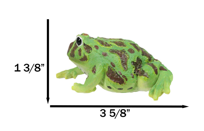 Realistic Lithobates Clamitans Amphibian Green Frog Decorative Figurine