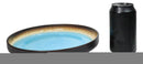 Pack Of 6 Blue Sky Aozora Kannyu Large Round Dinner Plates With Lip Edge 10" D
