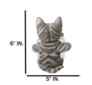 Gray Tabby Cat Salt and Pepper Glass Shakers Holder Set Cute Kitten Figurine