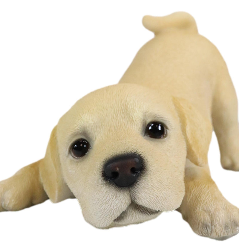 Realistic Adorable Crouching Fawn Golden Retriever Puppy Pet Dog Figurine