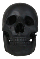 Macabre Goth Ghost Black Homosapien Replica Skull With Movable Jaw Bone Figurine