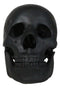Macabre Goth Ghost Black Homosapien Replica Skull With Movable Jaw Bone Figurine