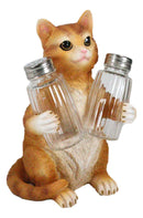 Ebros Orange Tabby Kitty Cat Hugging Spice Salt Pepper Shakers Holder 8.25"H