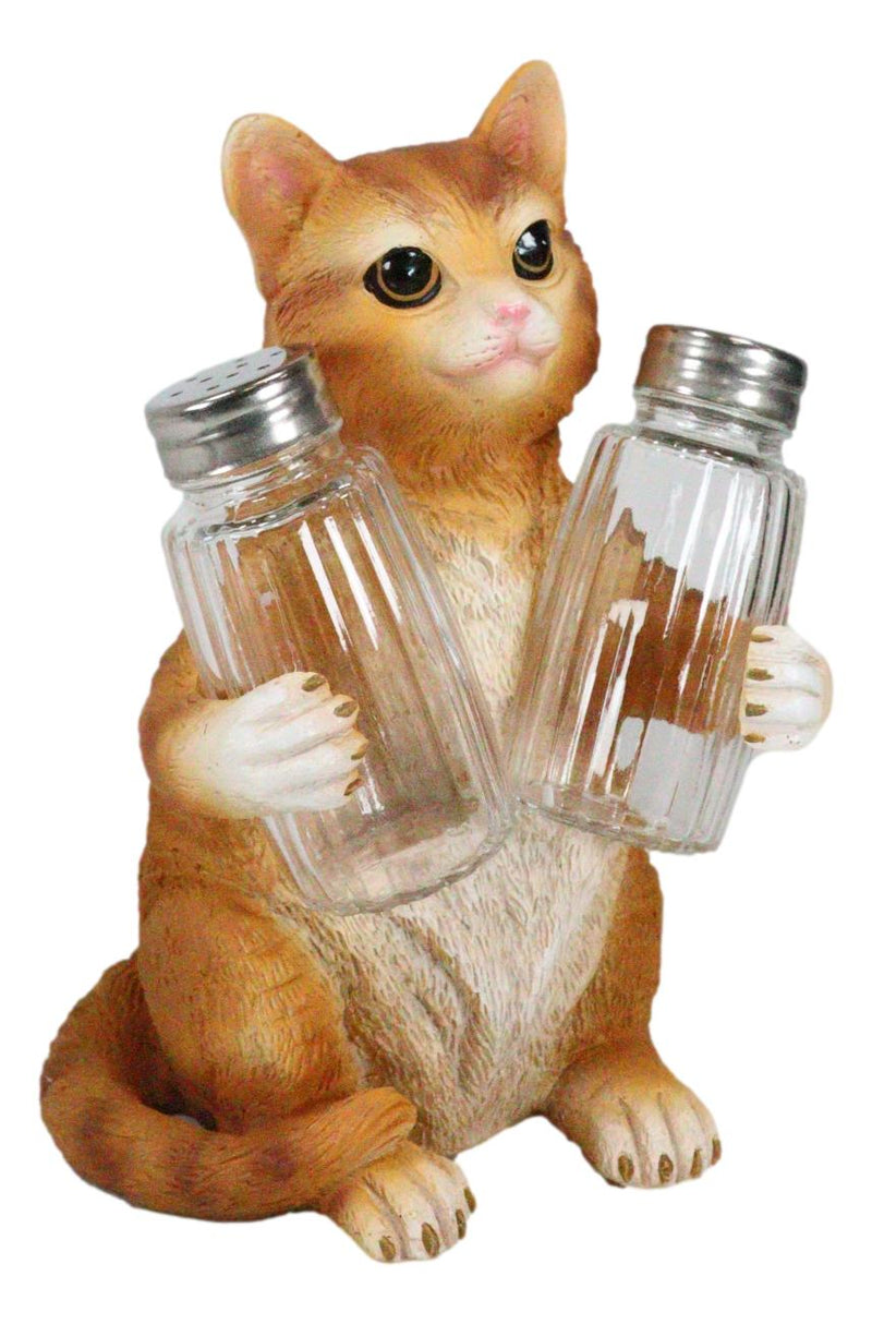 Ebros Orange Tabby Kitty Cat Hugging Spice Salt Pepper Shakers Holder 8.25"H