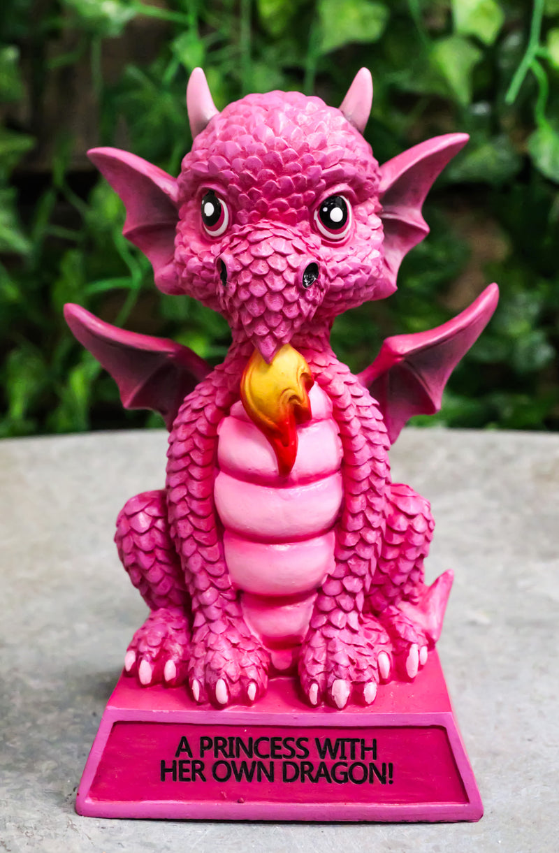Pink Drake Koan Cartoon Chibi Dragon Figurine A Princess With Her Own Dragon
