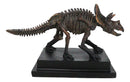 Faux Taxidermy Triceratops Dinosaur Fossil Figurine On Museum Display Base Stand