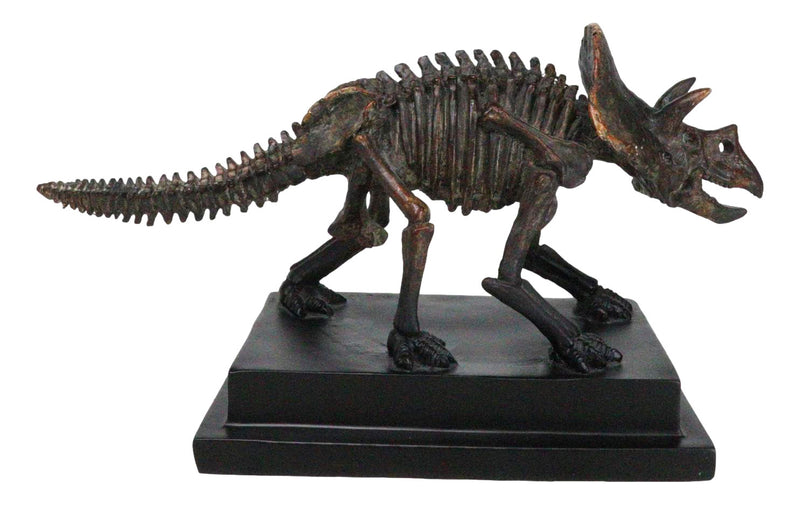 Faux Taxidermy Triceratops Dinosaur Fossil Figurine On Museum Display Base Stand