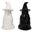 Wiccan Magic Hocus Pocus Black And White Witches Ceramic Salt Pepper Shakers Set