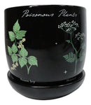 Witchcraft Magic Dark Forest Poisonous Plants Ceramic Planter Pot W/ Saucer Set