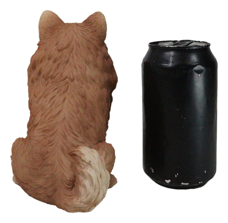 Lifelike Adorable Pet Pal Sitting Pomeranian Spitz Puppy Dog Figurine 6"H