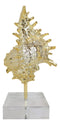 Nautical Marine Coral Golden Conch Large Sea Shell Sculpture With Acrylic Base