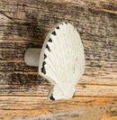 Set Of 6 Distressed White Marine Seashell Clam Brass Cabinet Door Pull Knobs