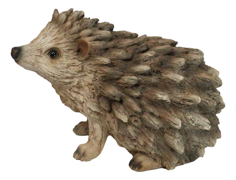 Realistic Faux Driftwood Finish Wild Spiny Mammal Hedgehog Animal Figurine 9"L