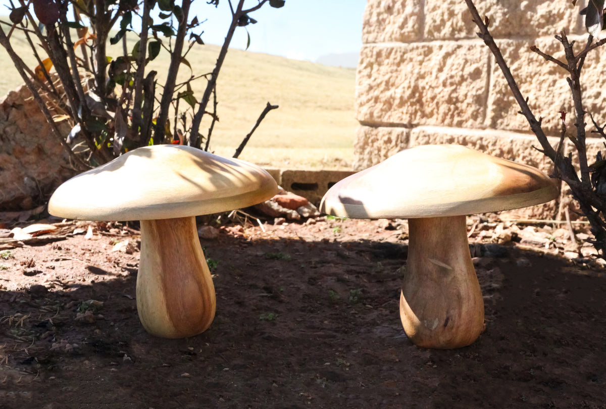Pack Of 2 Rustic Handcrafted Hardwood Acacia Mushrooms With Golden Edge Decors