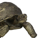 Marine Reptile Lifelike Galapagos Tortoise Taxidermy Replica Figurine 8"L