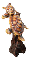 Ocean Marine Sea Turtle Mother and Hatchling Figurine Faux Wood Carved Look