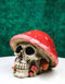 Red Macabre Toadstool Mushroom Cap Skull With Mini Fungi Figurine 5" L