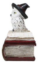 White Snow Owl With Witch Hat Sitting On Triple Moon Spell Book Trinket Box