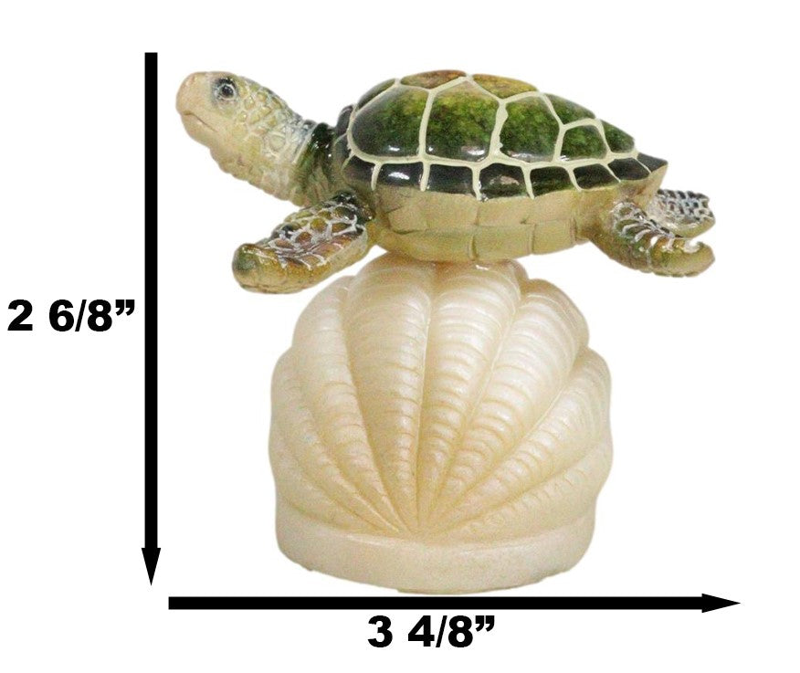 Ocean Marine Green Giant Sea Turtle Swimming Over LED Light Clam Shell Figurine