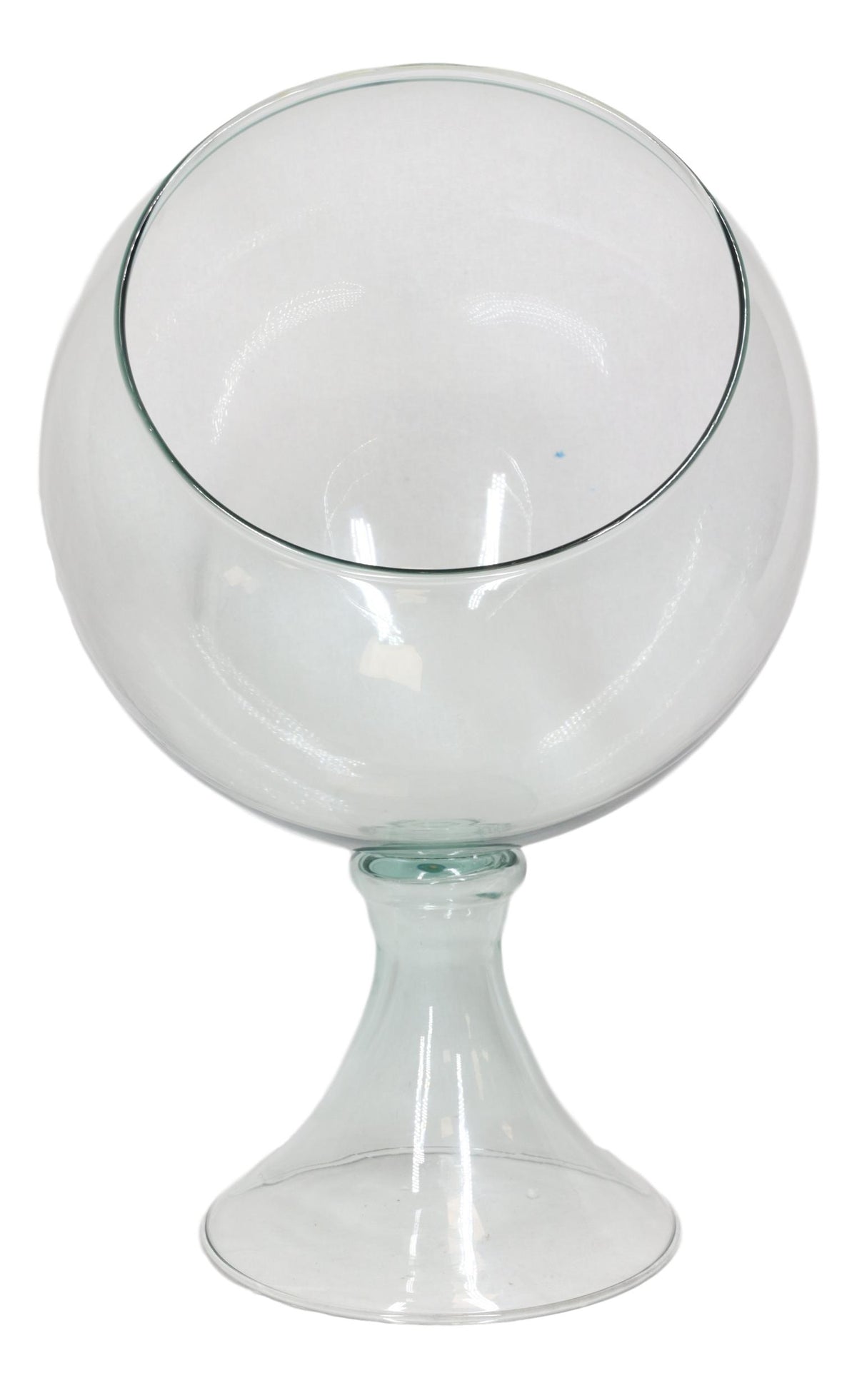 Contemporary Clear Glass Globe Storage Display Bowl 16"H Fruits Succulents