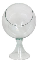 Contemporary Clear Glass Globe Storage Display Bowl 16"H Fruits Succulents
