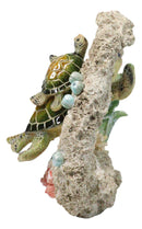 Green Sea Turtle Mother and Hatchling Swimming by Coral Reef Overhang Figurine