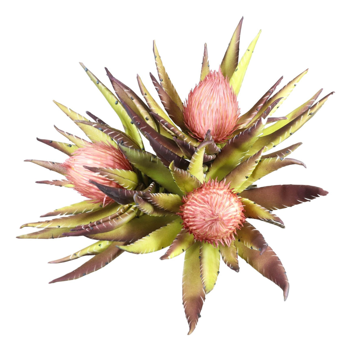 Set of 6 Realistic Artificial Botanica Faux Plants Thistle Fern Grass Leaf Stems