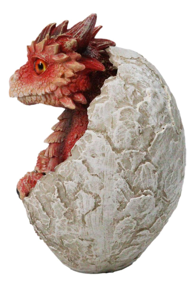 Ebros Red Ember Fire Dragon Baby Hatchling in Cracked Egg Fantasy Figurine