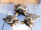 Balinese Wood Handicrafts Polkadot Shell Turtle Family Ashtray Box Figurine Set