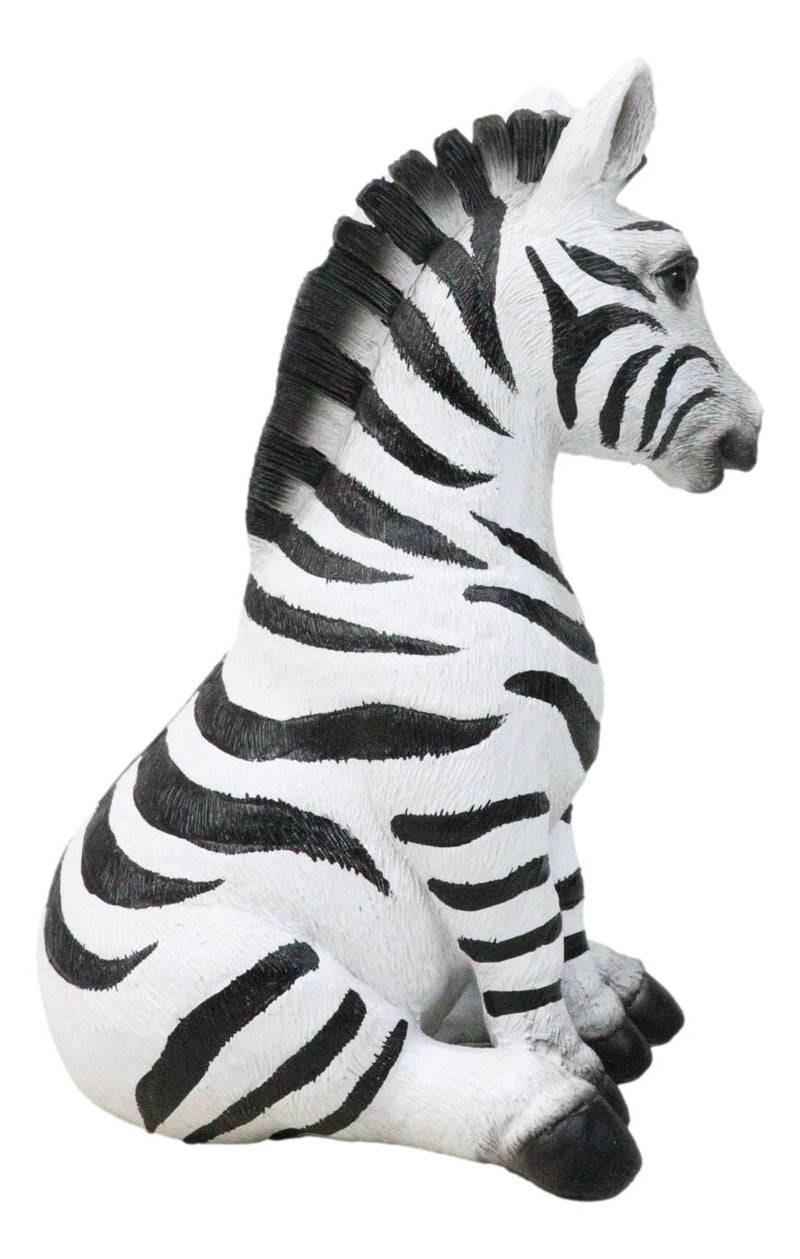 Wildlife Nature Safari Savanna Equid Zebra Horse Foal Sitting Figurine
