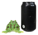 Realistic Lithobates Clamitans Amphibian Green Frog Decorative Figurine