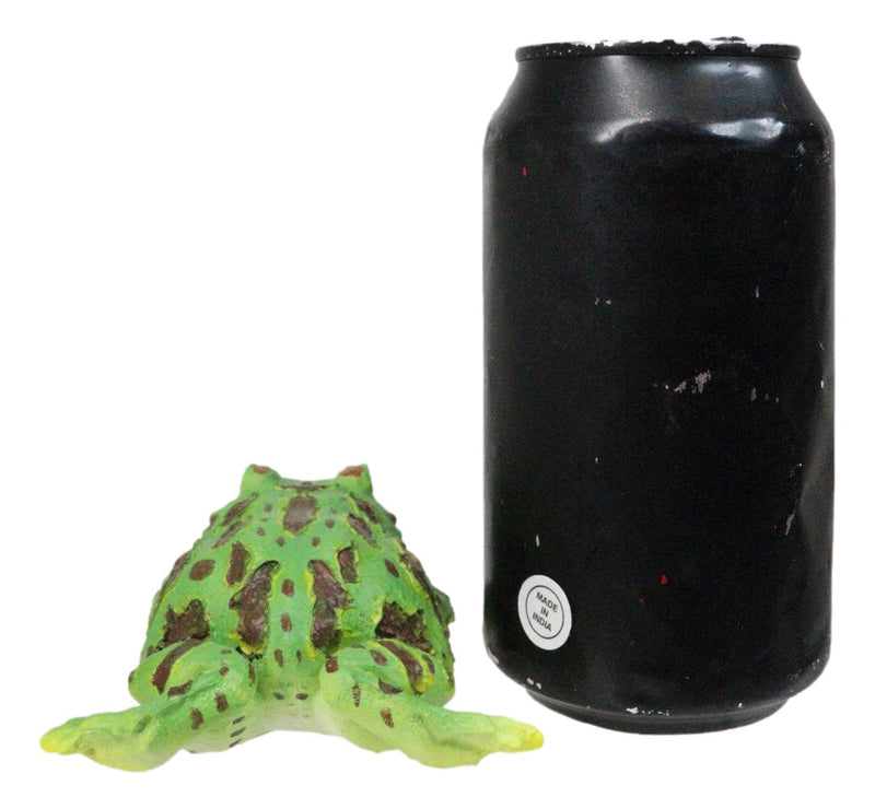 Realistic Lithobates Clamitans Amphibian Green Frog Decorative Figurine