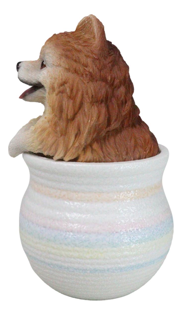 Pet Pomeranian Pom Pom Teacup Puppy Dog Figurine With Glass Eyes Pup In Pot
