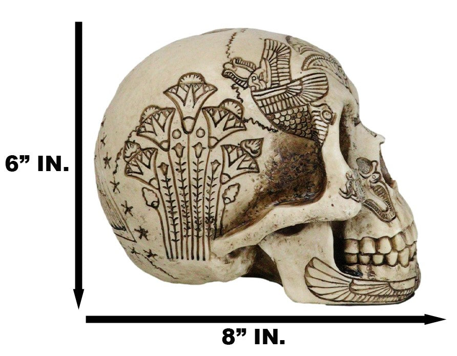 Ebros Bone Ancient Egyptian Gods Paranormal Voodoo Scarab Dung Beetle Skull Statue 8.5" Long Figurine - Ebros Gift