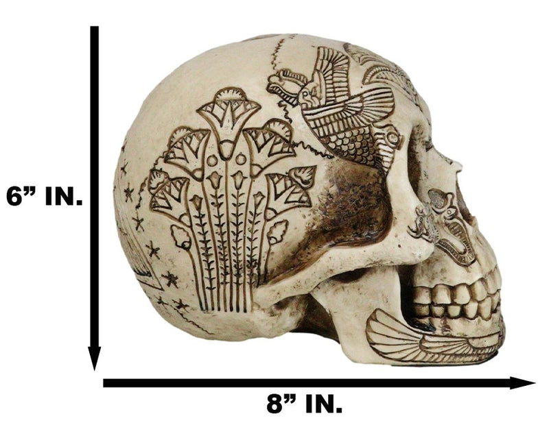 Ebros Bone Ancient Egyptian Gods Paranormal Voodoo Scarab Dung Beetle Skull Statue 8.5" Long Figurine