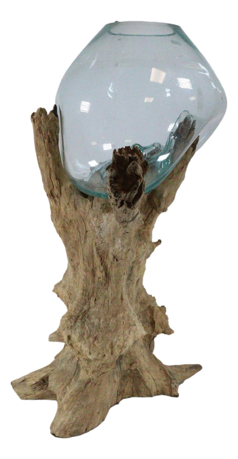 Large 28"H Bali Handicraft Driftwood With Molten Glass Bowl Vase Aquarium Decor