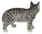 Standing Feline Gray Tabby Cat Kitten Figurine With Realistic Glass Eyes Decor