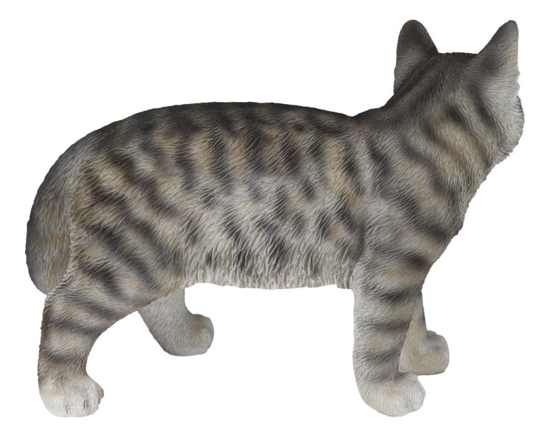 Standing Feline Gray Tabby Cat Kitten Figurine With Realistic Glass Eyes Decor