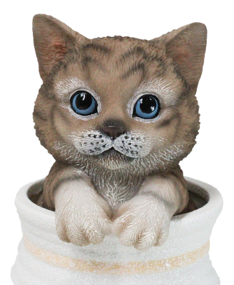 Lifelike Feline Kitty Brown Tabby Cat Blue Eyes In Pastel Artsy Pot Figurine
