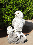 Snowy Owl Mother and Owlet Figurine on Snow-Covered Rock Nature Wildlife Bird