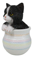 Lifelike Black And White Tuxedo Cat In Pastel Artsy Pot With Glass Eyes Figurine