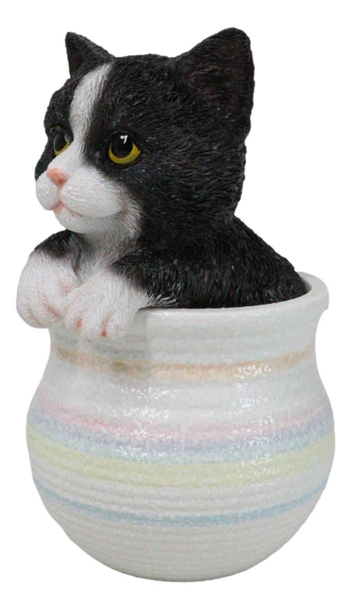 Lifelike Black And White Tuxedo Cat In Pastel Artsy Pot With Glass Eyes Figurine