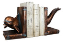 Sea Coastal Nautical Marine Bottlenose Dolphin Fishes Swimming Bookends Pair Set