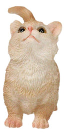 Realistic Curious Feline Orange Tabby Munchkin Cat Kitten Mini Figurine