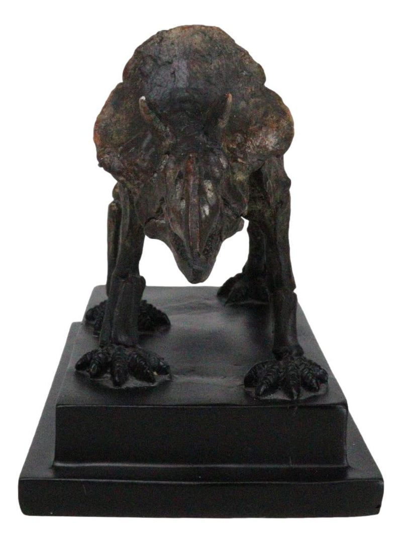 Faux Taxidermy Triceratops Dinosaur Fossil Figurine On Museum Display Base Stand