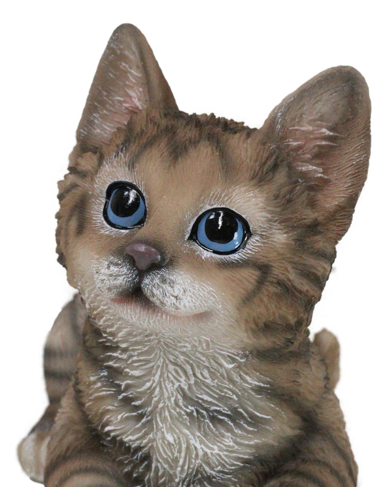 Lifelike Adorable Sitting Gray Brown Tabby Feline Kitten Cat Pet Pal Figurine